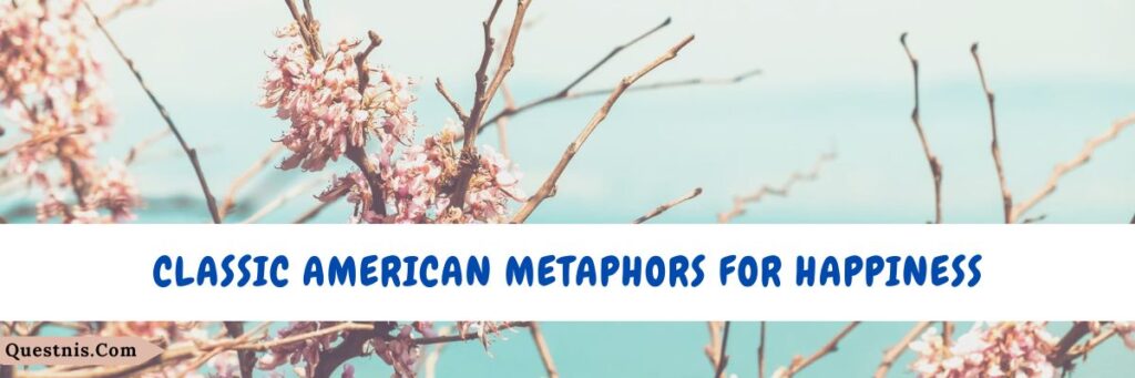 classic-american-metaphors-for-happiness