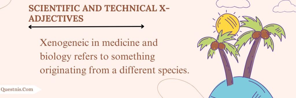 scientific-and-technical-x-adjectives